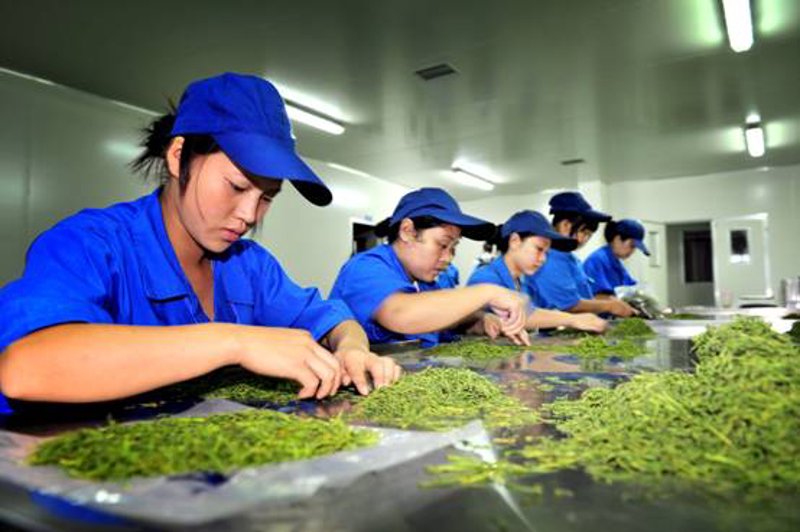 开启味蕾之旅:苍溪县农产品的选用技巧